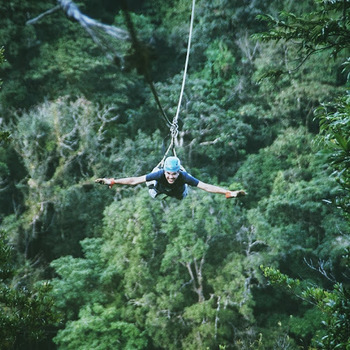Anas