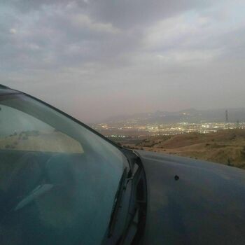 Alireza