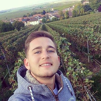 Thibaut