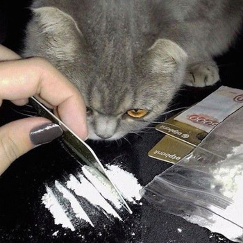 Hugo
