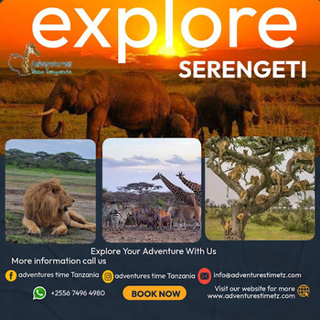 Adventure