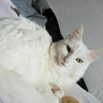 Sabrina