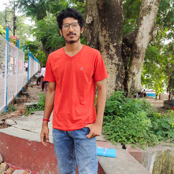 niladri paul