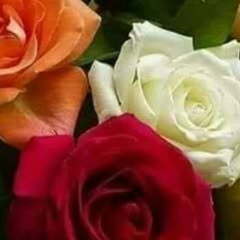Biplab