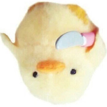 Duck Duck
