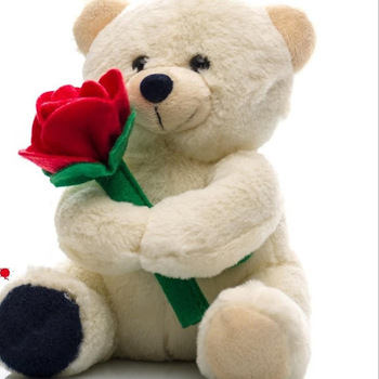 Vengadeshwaran Vengadeshwaran