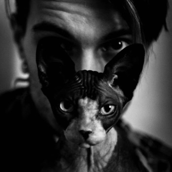 Sphynxboa