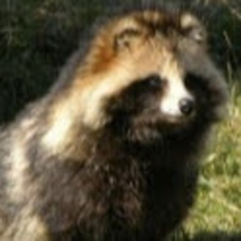 Antonio