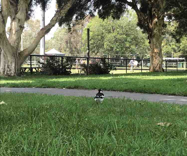 ** Roadtrip ☀️ Melbourne -> Gold Coast **