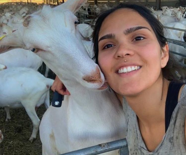 Melbourne to Gold Coast