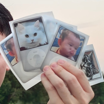 Taro Taro