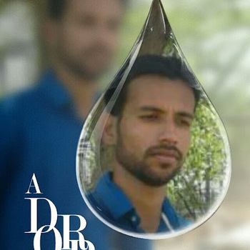 Anis