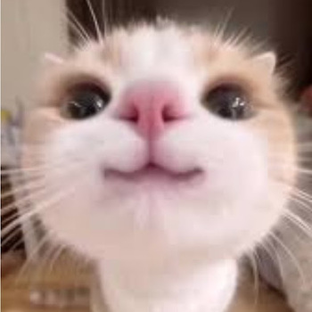 Lau