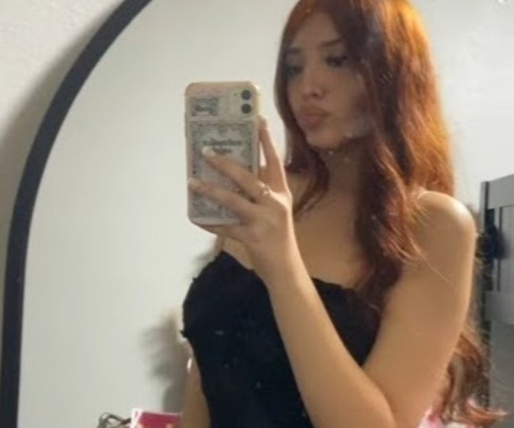 Virgina Manassas 