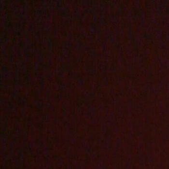 viral viral
