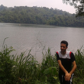 Hamed Hamed