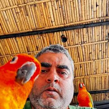 Deepak Dhandh