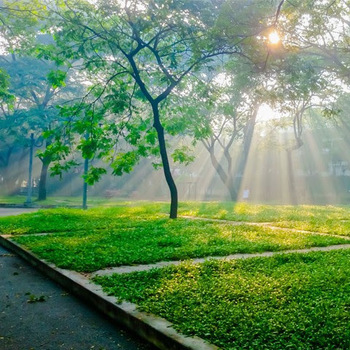 thuong thuong