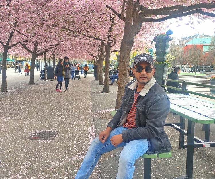 2 days Car trip in 5 Cities of Sweden