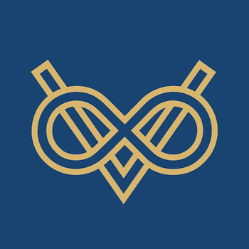 Vinyas