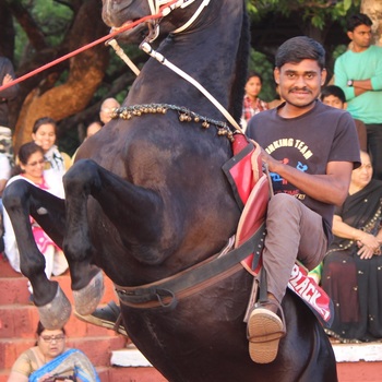 Sagar
