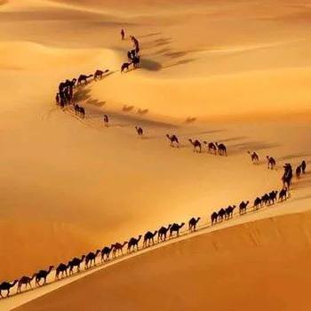 Cina
