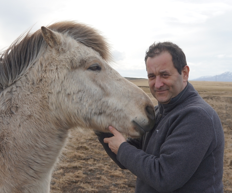 Road Trip Sweden - Summer 2020