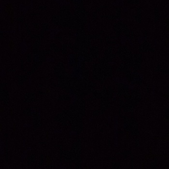 Greg