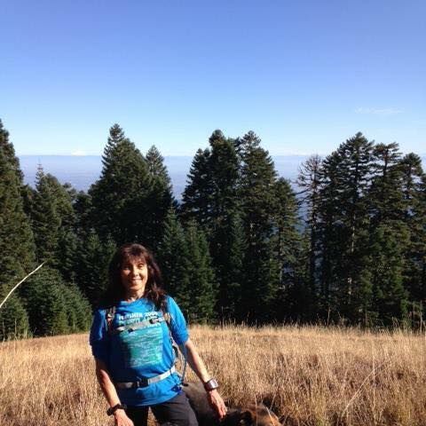 PCT sections in California 