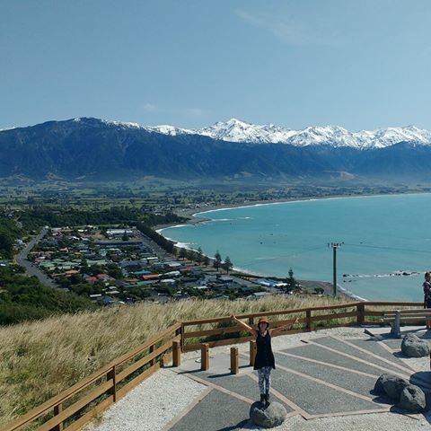 ride share trip to coffs harbour