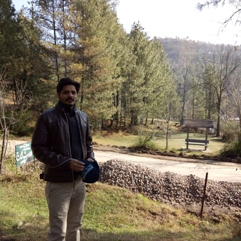 Owais Owais
