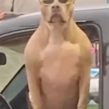 Nagabhushan Nagabhushan