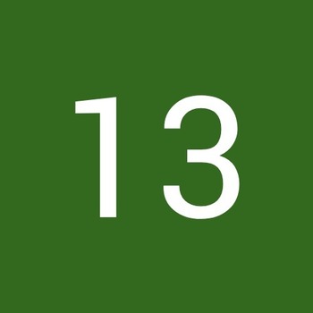 13