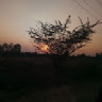Subhiksha