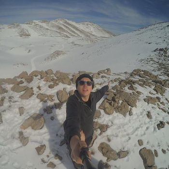Tomer
