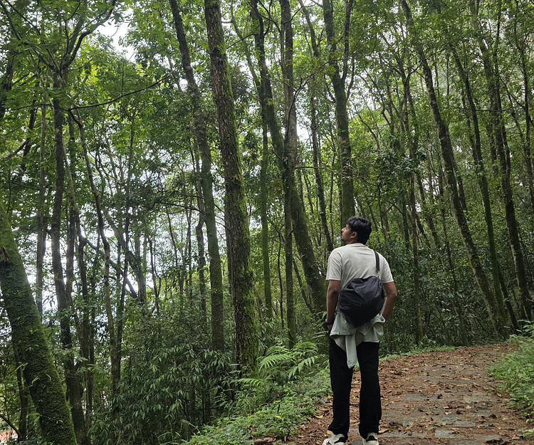 Annapurna Adventure: Hike & Camp 🚶‍♂️🏔️🌌