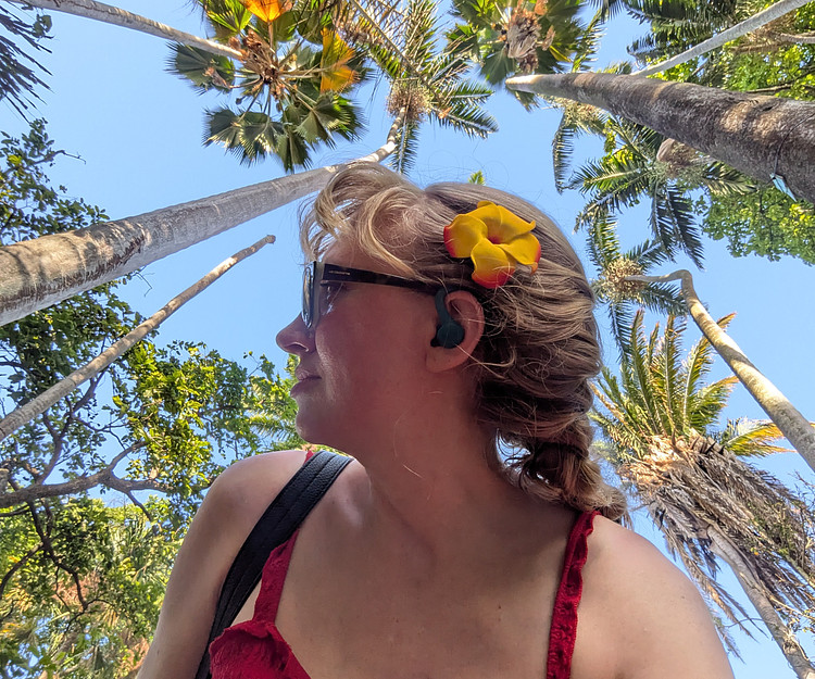 New England for the summer